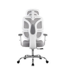 Prosit Ergonomics Office & Computer Chair S28