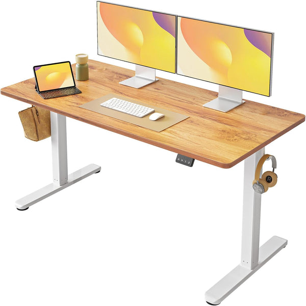 Prosit Ergonomics Height Adjustable Electric Standing Desk