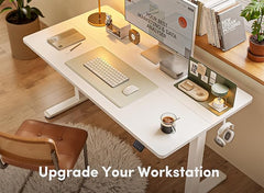 Prosit Ergonomics Height Adjustable Electric Standing Desk