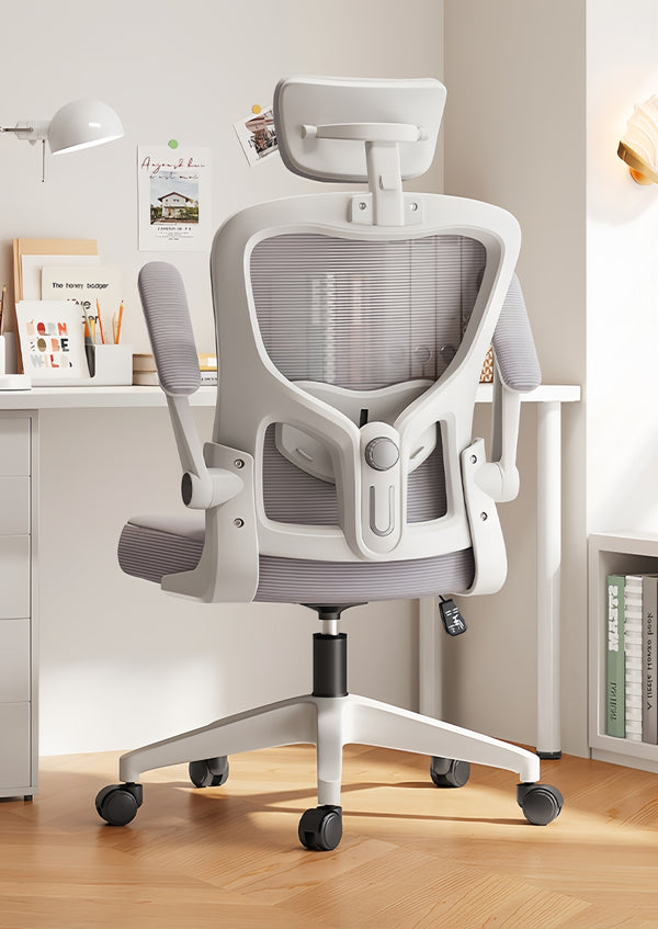 Prosit Ergonomics Office & Computer Chair S11